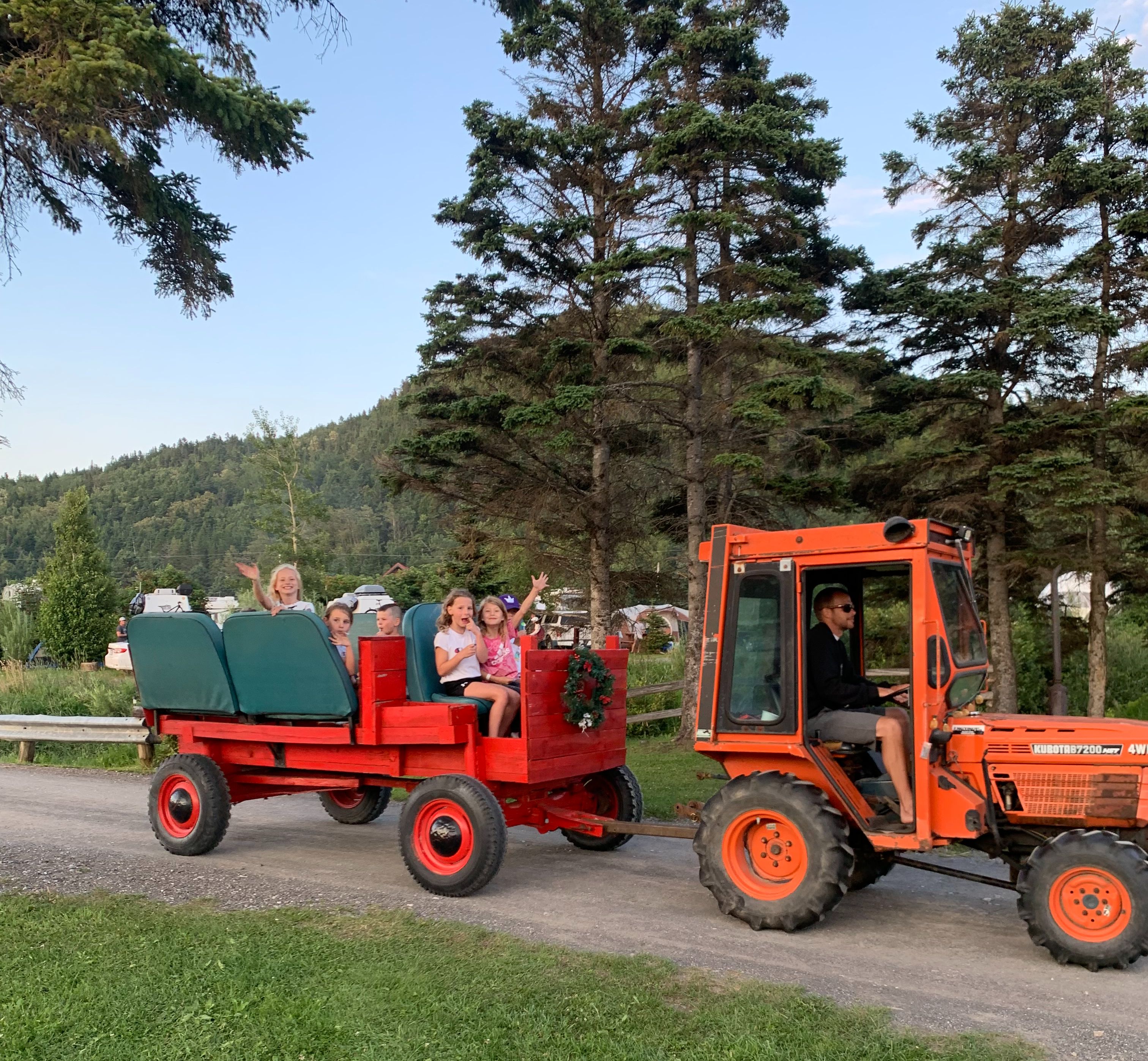 Camping aux pignons verts - Photo 3